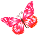 Butterfly1980Magic