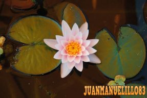 Juanmanuelillo83