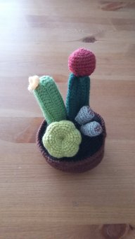 Raquel & Cactus