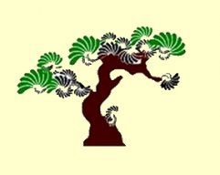 albertweb