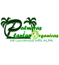 palmerasyplantas