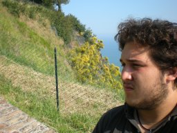 Nahueldaros