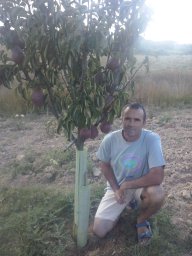 orencio