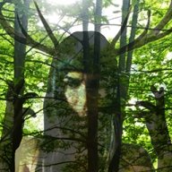 Forestta
