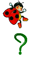 chimbelaa