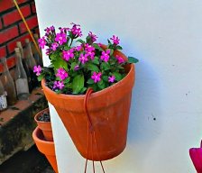MartaAlquería