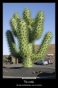 Cactuspinchin