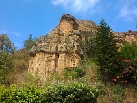 BonsaistaJunior