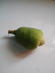 sergioale2