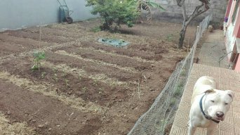 Abruni