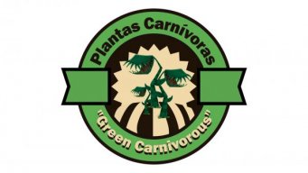 Green Carnivorous