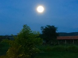 Luz H