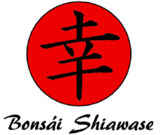 Bonsái Shiawase