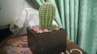 maria alejandra ipuz