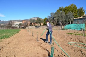 Jordi Pallars