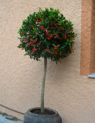 Chekniel