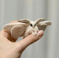 Baterflai