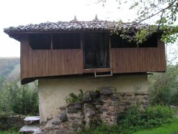 Neveiru