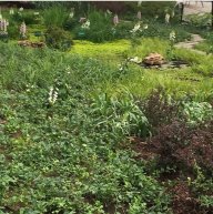 jardin sustentable