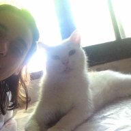 PiaCh