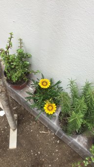Jardinera.teq