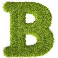 Bormujardin XXI