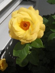 Almudenchen