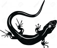 Jorge jorge francisco