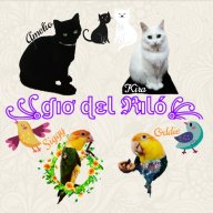 Gio Del Rilo