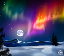 Marisol de la Fuente