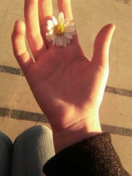 BrendaFer