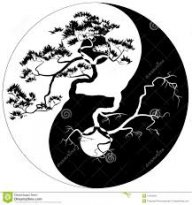 angeljdv3097.bonsai