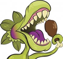 Carniwinki