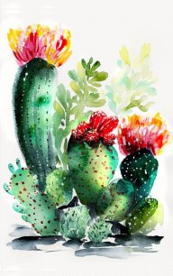 Cacti love