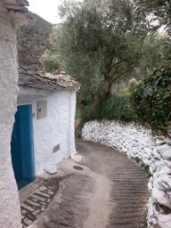Ventosa