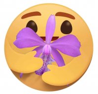 DesireeOrquideaphal
