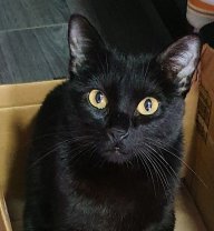 Gatuna777