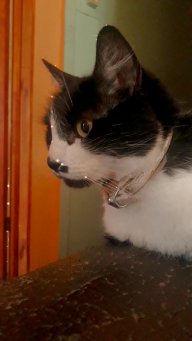 Katherine06_