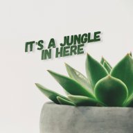 Sucuplantiplant