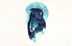 StevenGainess