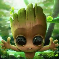 Pikinorte