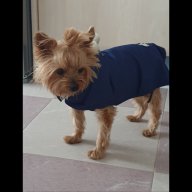 Cio