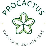 Procactus