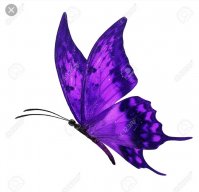 mariposa2975