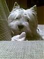 carmen_bo