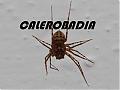 calerobadia