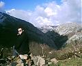 astur.
