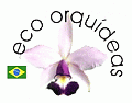 Eco Orquideas