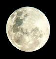 LunaMora