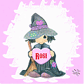 rosana.mdp@hotmail.com